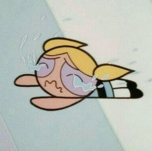 Meet your Posher, Sierra